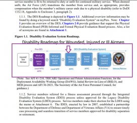 AFI 36-3212 IDES Timeline Snapshot.jpg
