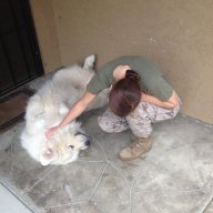 patiently_waiting