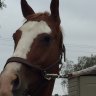 Pennyfarm